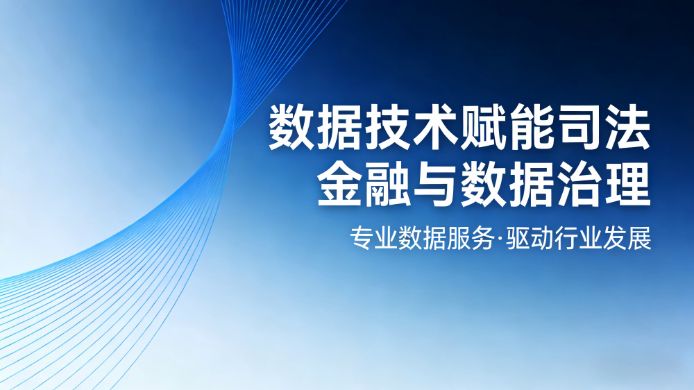 武汉沙淘金信息技术有限公司：华中司法金融数据治理、清洗一站式解决方案